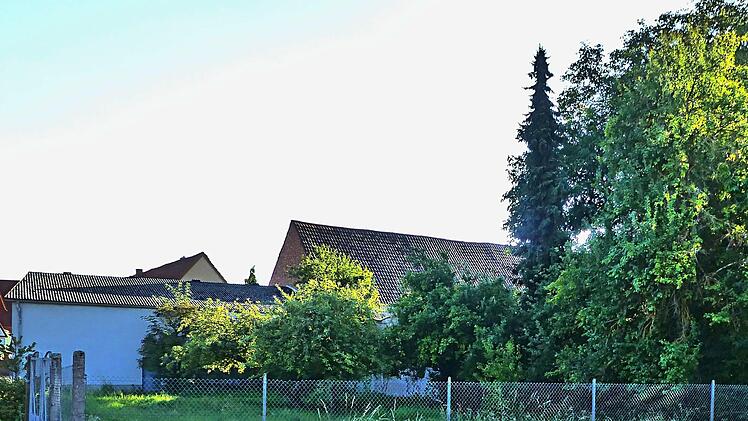 Der Gemeinderat will im Rahmen des Projekts Grüngitter ein Grundstück neben dem Rathaus neu bepflanzen, Weg und Sitzgelegenheiten schaffen. Dafür soll für viel Geld Boden ausgetauscht werden. Deshalb vertagte der Rat die Entscheidung bis zu einem Termin vor Ort. ans-Peter Hepp