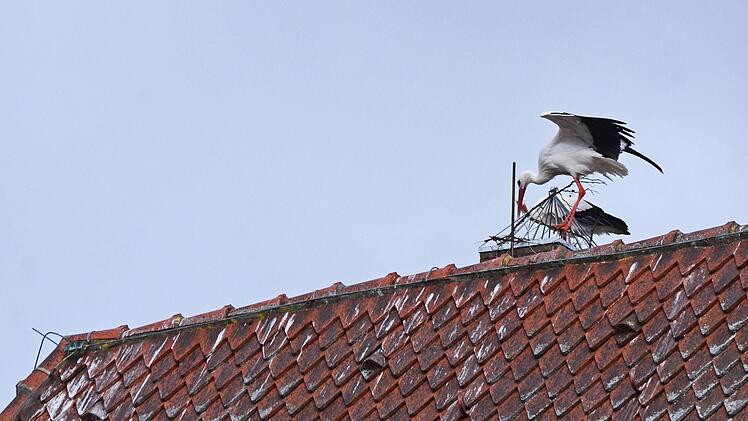 Die Pyramide stört nicht und ...