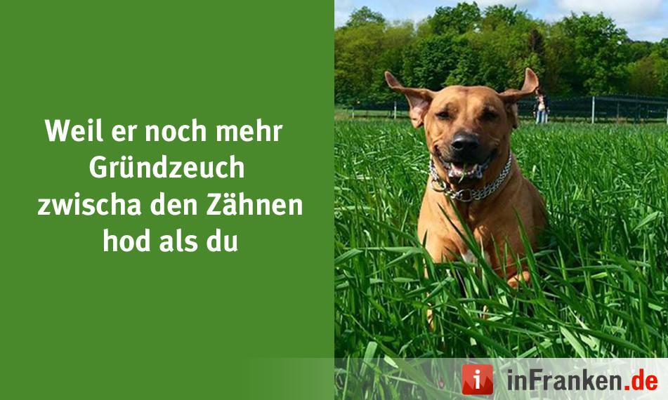 Foto: Claudi Specht