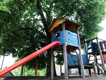 Die Baumschutzverordnung der Stadt  schützt die alte Linde   vor dem Kindergarten Reuth.    Das Pfarramt hätte den Baum gern los. Foto: Josef Hofbauer