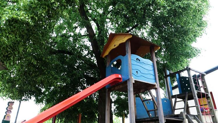 Die Baumschutzverordnung der Stadt  schützt die alte Linde   vor dem Kindergarten Reuth.    Das Pfarramt hätte den Baum gern los. Foto: Josef Hofbauer