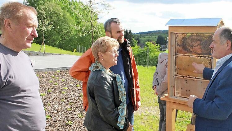 Hans Jorda (rechts) erklärte den Besucherinnen und Besuchern das Leben und die Aktivitäten der Bienen in ihrem Brutkasten, u. a. auch Bürgermeisterin Gabriele Weber. Foto: Uwe Zipfel
