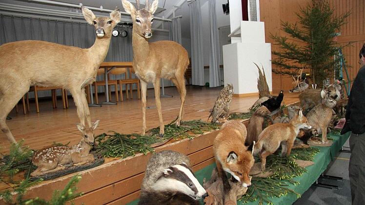 Foto: Richard Sänger