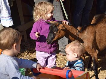 So könnte es ab April auf dem Ziegenhof an jedem Wochentag zugehen. Ob das Projekt starten kann, hängt von der Zahl der verbindlich angemeldeten Kinder ab. Fotos: Ronald Rinklef