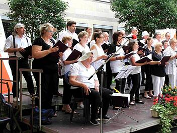 Der Volkschor begeisterte beim Schlosshofkonzert.  Fotos: Richard Sänger