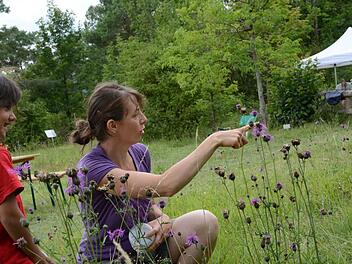 Sommerfest 2017 am Sinnberggarten von Bad Kissingen.   Archivfoto: Elisabeth Assmann