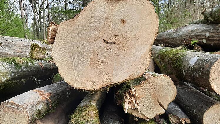 Die Gemeinde Bad Bocklet hat einen Betriebsverlust von 39 000 Euro zu verzeichnen.