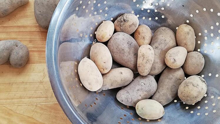Kartoffeln sind aus der heimischen Küche nicht wegzudenken. Direktvermarkter profitieren davon, dass der Wunsch nach heimischen Erzeugnissen steigt.