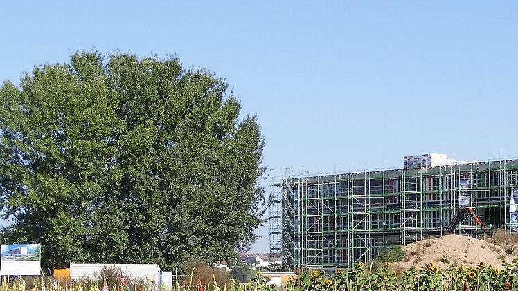 Innerhalb weniger Monate soll das neue Soldangelände fertiggestellt werden. Foto: Eigenfeld