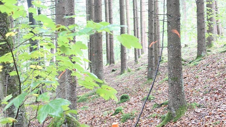 Die rote Markierung zeigt es: Hier verläuft später die Straße.  Foto: Friedwald Schedel