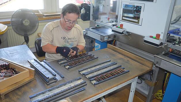 Bei einer Werkstattf&uuml;hrung im Rahmen des Sommerfests 2018 am Samstag, 16. Juni, geht es ums Anschauen, Sehen, das Kennenlernen des Leistungsverm&ouml;gens und das Kennenlernen der Arbeitspl&auml;tze von Menschen mit Behinderung.  Arthur Stollberger