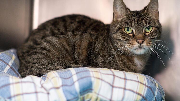 Symbolfoto: Bernd von Jutrczenka/dpa