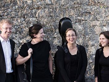 Das Würzburger "Steinquartett"  Foto: rivat