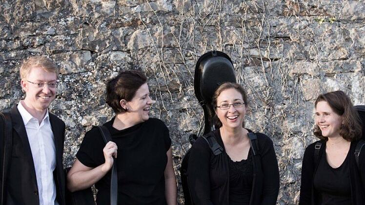 Das Würzburger "Steinquartett"  Foto: rivat
