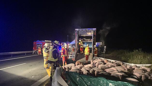 Nach Lastwagenbrand: Einsatzkr&auml;fte bauen Gehege f&uuml;r rund 700 Schweine auf Autobahn auf