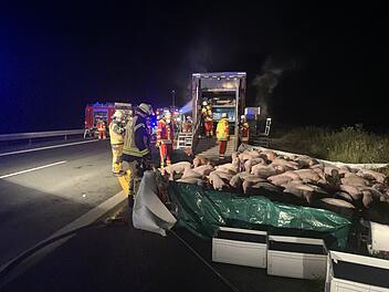 Nach Lastwagenbrand: Einsatzkräfte bauen Gehege für rund 700 Schweine auf Autobahn auf