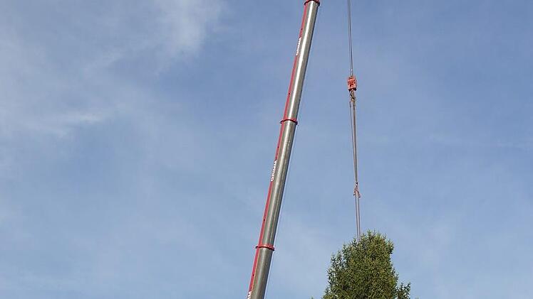 Gestern  hat das  Team des städtischen Bauhofs den  Weihnachtsbaum auf den Neustadter Marktplatz gebracht.Berthold Köhler