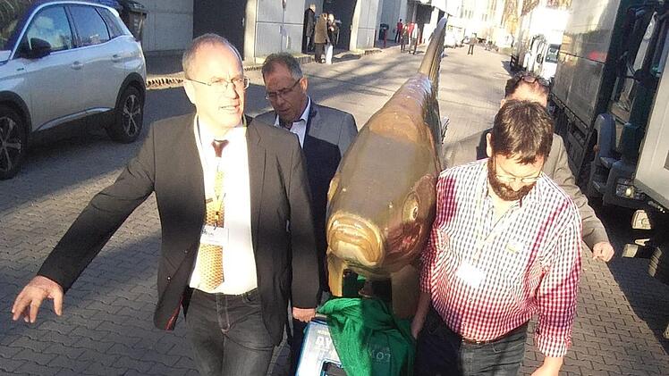 Martin Oberle (vorne rechts) hat sich ein paar starke Männer geschnappt, um für Karpfenkönigin Nina Hock den Karpfen Fridolin zum Pressetermin zu bugsieren. Foto: Nina Hock
