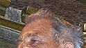 Werner Plesch