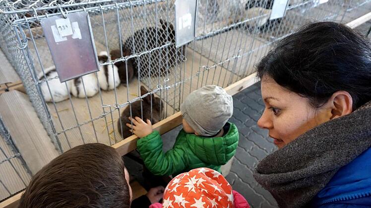 Die Kinder hätten die jungen Hasen  gerne mitgenommen. Foto: Richard Sänger