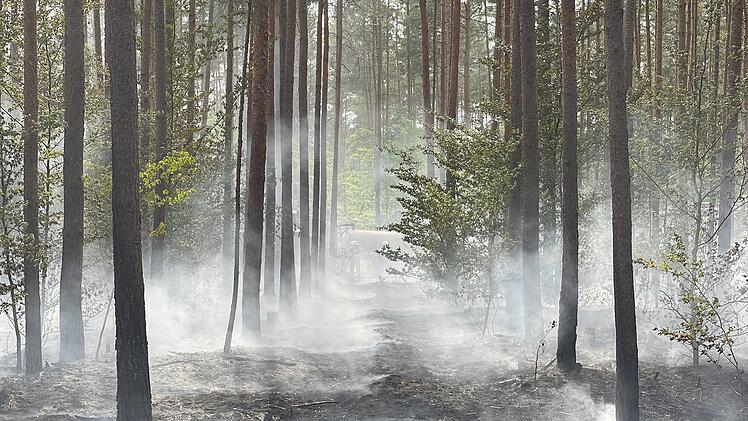 Strullendorf: Waldbrand im Landkreis Bamberg - "Wären nicht zurechtgekommen"