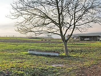 Auf dieser Wiese bei Wimmelbach sollen umgehend Häuser entstehen.  Foto: Karl-Heinz Wirth