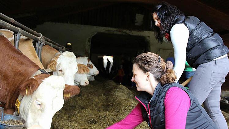 Katrin Ranninger zeigt Besucherin Tina Völkel, wie die Kühe gefüttert werden. Foto: Katharina Müller-Sanke