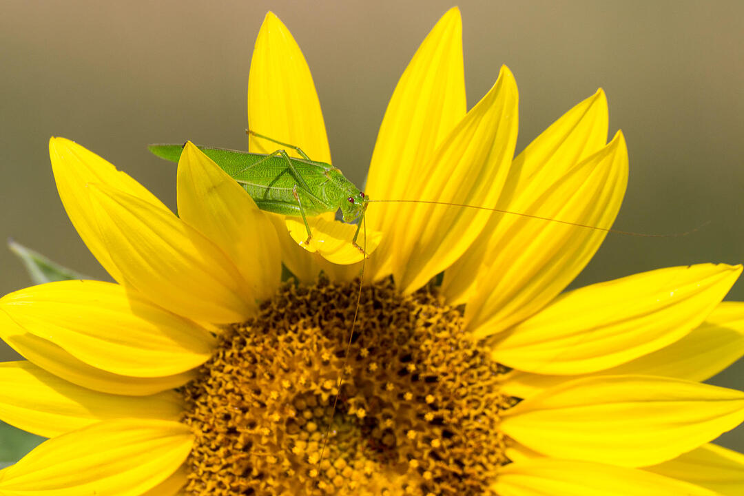 Fotos Konrad Thomann