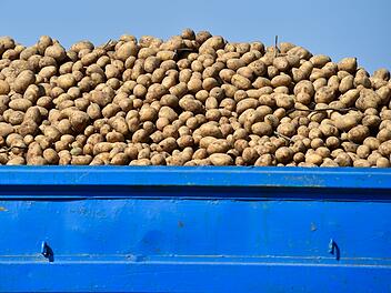 Erster Hintergrund: Warum Lidl Kartoffeln billiger macht