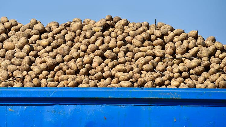 Kartoffeln auf einem Anhänger
