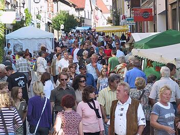 Die Einwohnerzahl in Hammelburg ist 2011 erneut gesunken. Gestiegen ist indes die Zahl der Senioren. Foto: Markus Reeh (Archiv)