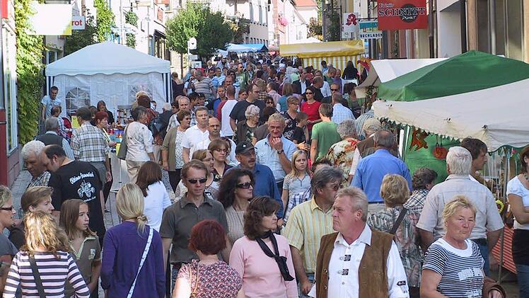 Die Einwohnerzahl in Hammelburg ist 2011 erneut gesunken. Gestiegen ist indes die Zahl der Senioren. Foto: Markus Reeh (Archiv)