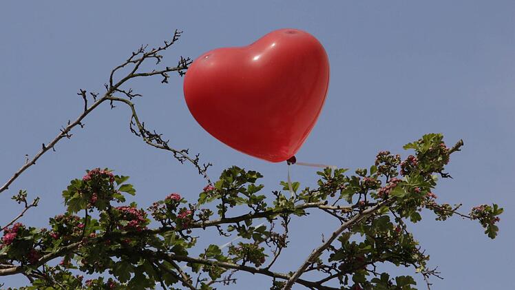 Foto: Josef Hofbauer