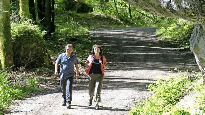Ein neuer Wanderf&uuml;hrer versammelt viele interessante Touren durch die "Fr&auml;nkische".  Foto: Tourismuszentrale