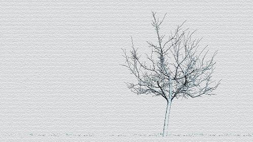 Preisgekr&ouml;nt: der Baum von Adrian Price.