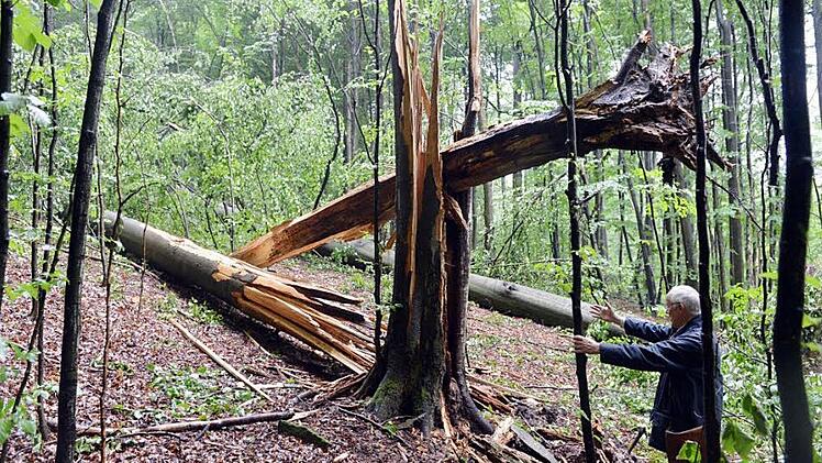 Sind die schweren Stürme   der letzten Jahre eine Folge des Klimawandels? Die Klima-Allianz von Landkreis und Stadt Bamberg strebt die Energie-Autarkie der Region bis 2035 an und will damit einen  Beitrag gegen die drohende Klima-Katastrophe leisten. Das Foto entstand in diesem Sommer im Steigerwald.  Archivbild: Ronald Rinklef