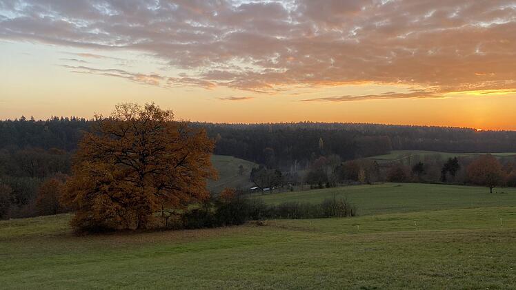 Auf den ersten Blick ein grünes Idyll. Doch den Wassermangel in den tieferen Bodenschichten hat auch der Herbst nicht ausräumen können. Noch ist völlig unklar, wie die Wälder der Region - im Bild der Michelsberger Wald von Bischberg aus betrachtet - durch den nächsten Sommer kommen .   Fotos: Michael Wehner