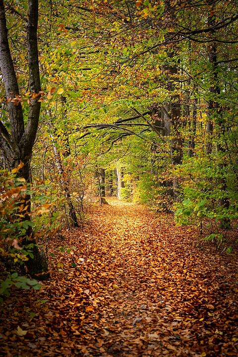 Die schönsten Fotos im Herbst aus Coburg und Umgebung