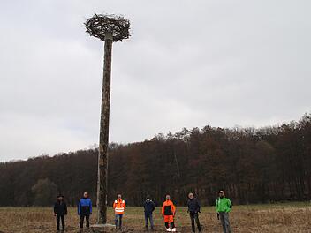 Der fünfte Horst für Storchenpaare ist im Landkreis aufgestellt worden.