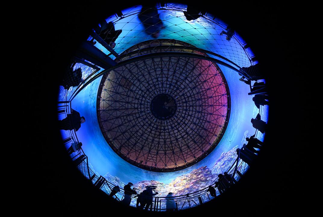 Panorama &laquo;Great Barrier Reef&raquo; in Dresden