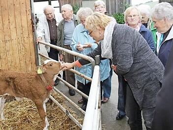 Sehr interessiert waren die Senioren, als sich den Hof der Familie Porzelt in Merkendorf anschauen durften. Fotos: Michael Stelzner