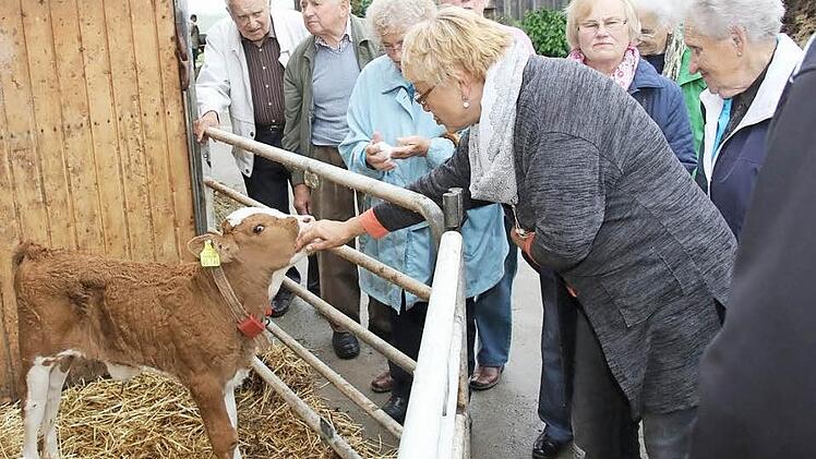 Sehr interessiert waren die Senioren, als sich den Hof der Familie Porzelt in Merkendorf anschauen durften. Fotos: Michael Stelzner