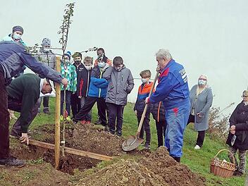 An der Grund- und Mittelschule Windheim wurden fünf Obstbäume gepflanzt. Zu den stolzen neuen Baumpaten zählen auch die Schüler und Schülerinnen der fünften Jahrgangsstufe.