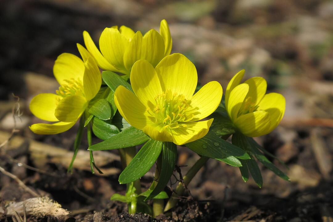 Fotos Konrad Thomann