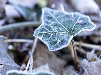 Eisheilige drohen 2024 auszufallen: Meteorologe liefert Prognose zum K&auml;lteeinbruch