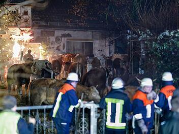 Feuer in Baudenbach: Stall mit 50 Rindern in Vollbrand löst Großeinsatz aus Feuer in Baudenbach: Stall mit 50 Rindern in Vollbrand löst Großeinsatz aus