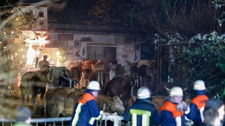 Feuer in Höfen: Stall mit 50 Rindern in Vollbrand löst Großeinsatz aus