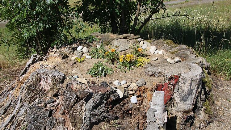Blick in den Garten von Rainer und Rosi Gilke. Foto: Jürgen Gärtner