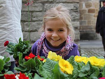 So wie dieses Fräulein ergötzten sich viele Marktgebsucher an der bunten Blumenvielfalt.