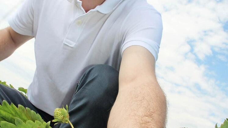 Michael Pfaffenberger zeigt auf seinem Feld frische Erdbeeren.  Foto: Jürgen Gärtner